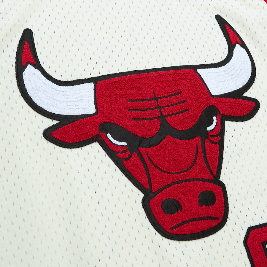 Dennis Rodman YOUTH KIDS Chicago Bulls Mitchell & Ness product image 4