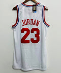Michael Jordan 1991 NBA All Star Jersey Mitchell & Ness product image 1