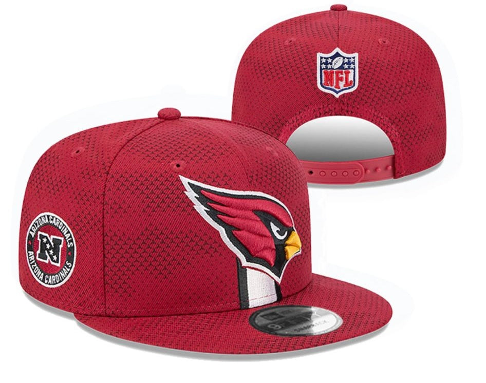 Arizona Cardinals Official NFL New Era adjustable Hat product image 1