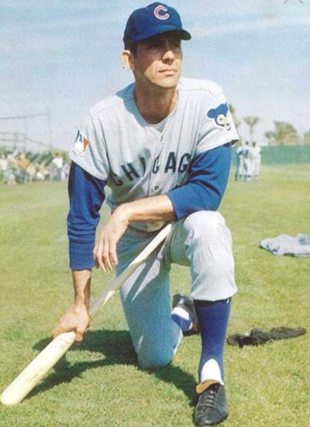Jim Hickman 1969 Chicago Cubs Official MLB Majestic Jersey product image 6