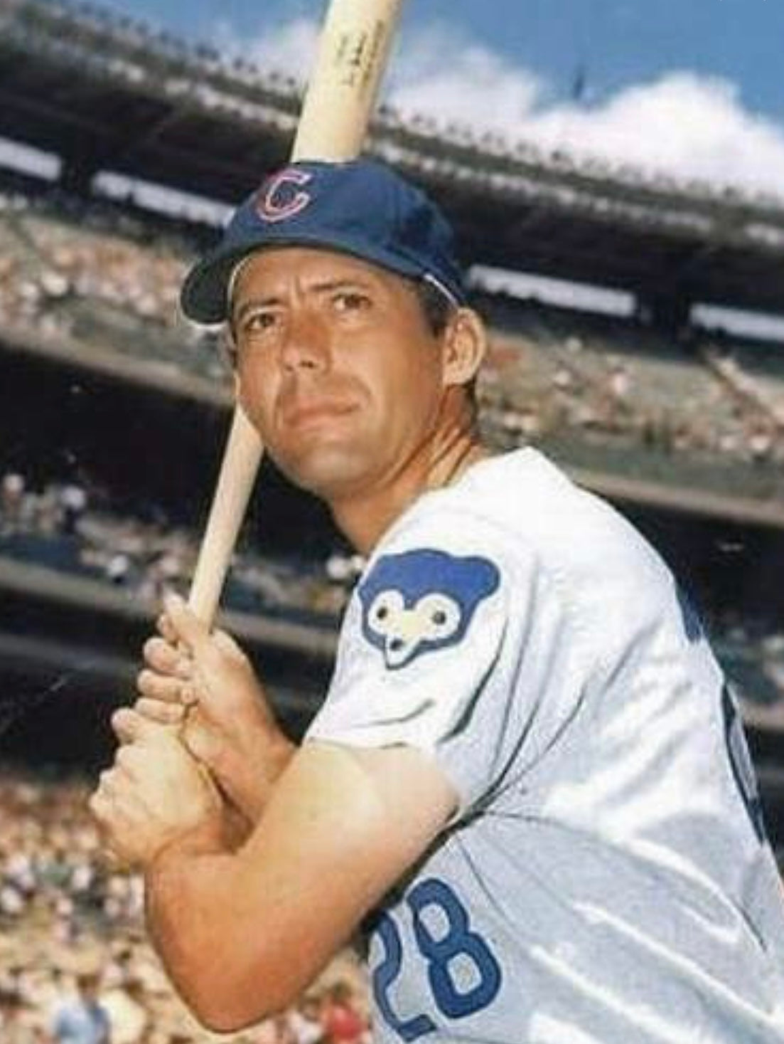Jim Hickman 1969 Chicago Cubs Official MLB Majestic Jersey product image 5