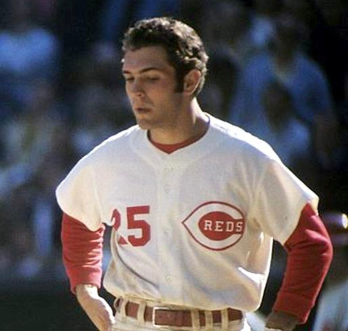 Bernie Carbo Cincinnati Reds Official MLB Majestic Jersey product image 3